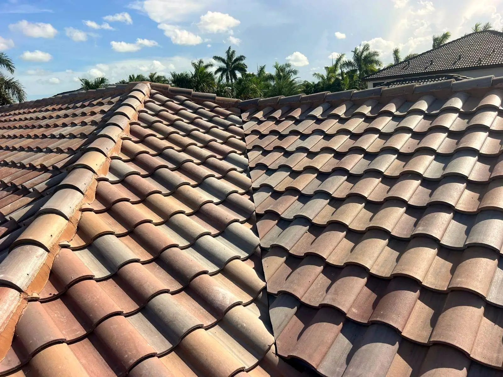 Barrel tile roof with a hip and a valley, palm trees beyond