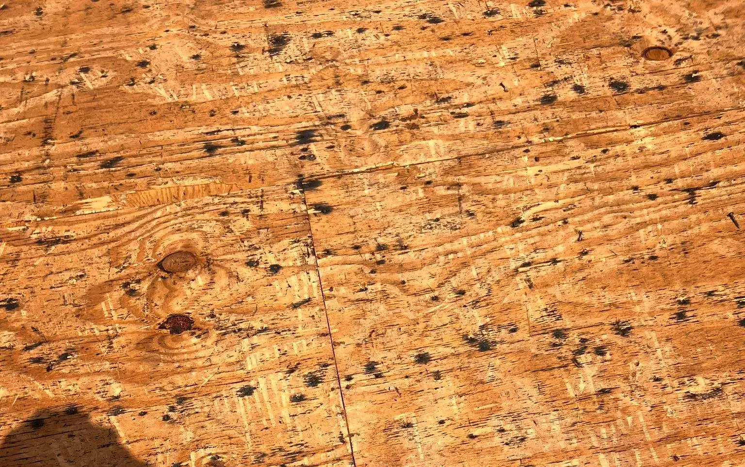 Close view of plywood roof decking