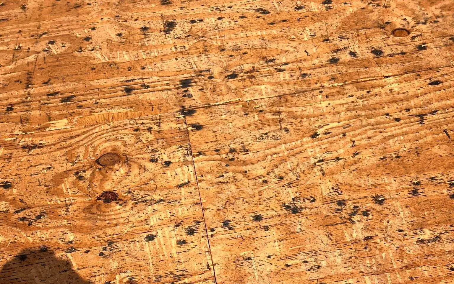 Close view of plywood roof decking